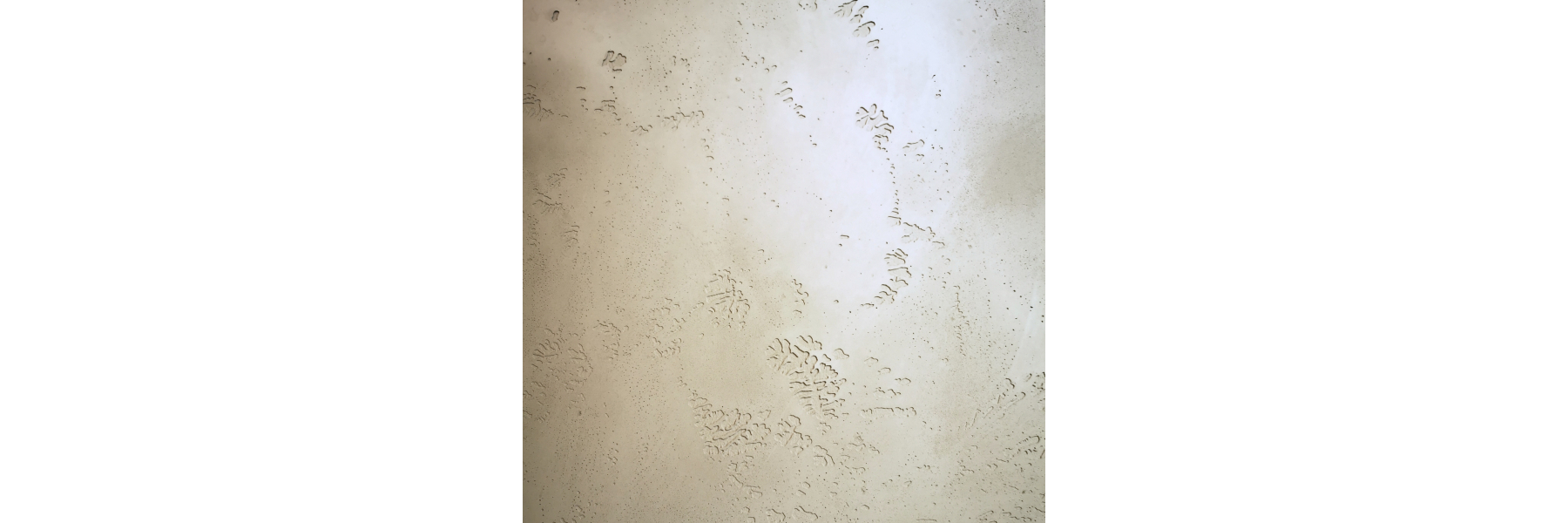 Sichtbeton