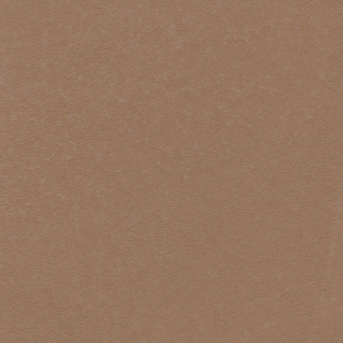 Beton Ciré Farbe BC14