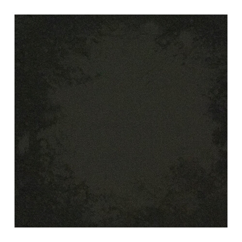 PIGMENTE für Tadelakt Noir 318 M OdF      500 g