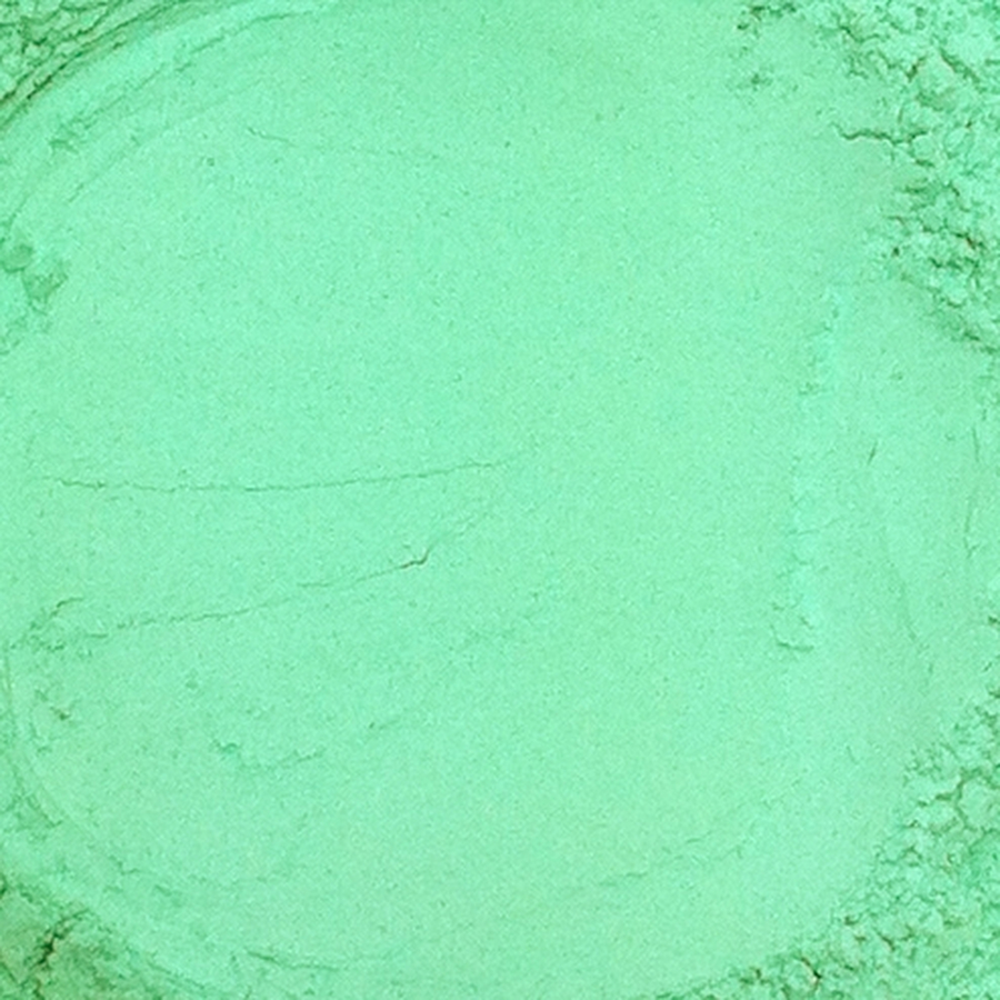 PIGMENTE fr Tadelakt Vert Turquoise OdF      500 g